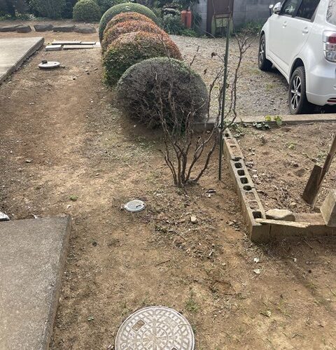 本日の定休日は、、、