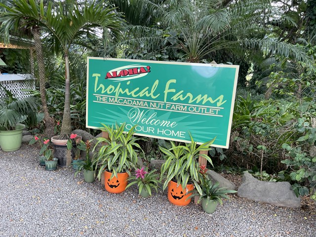 シャチョーの何？休み　4日目