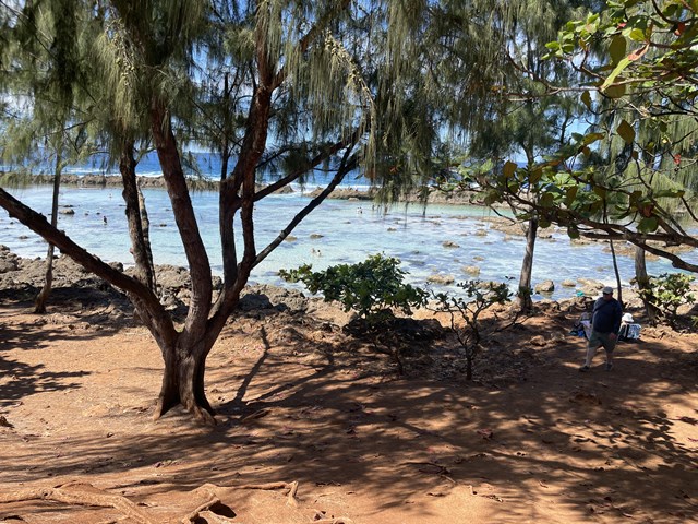 シャチョーの何？休み　5日目