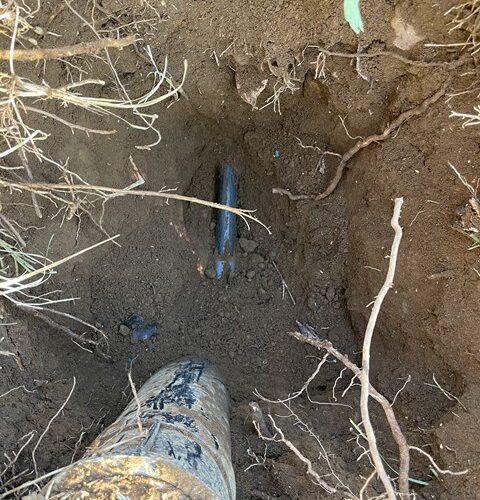 給水管調査でありまーす！