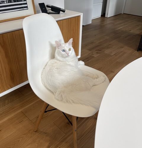 本日の定休日は、、、