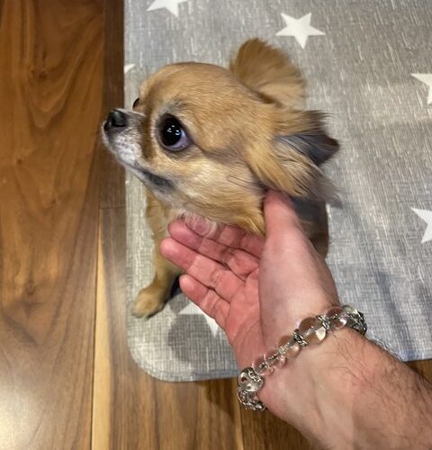 I様ご協力ありがとうございました🙇🙇🙇