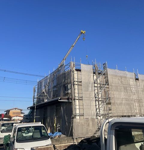 比較的おとなしめですぅ⤴