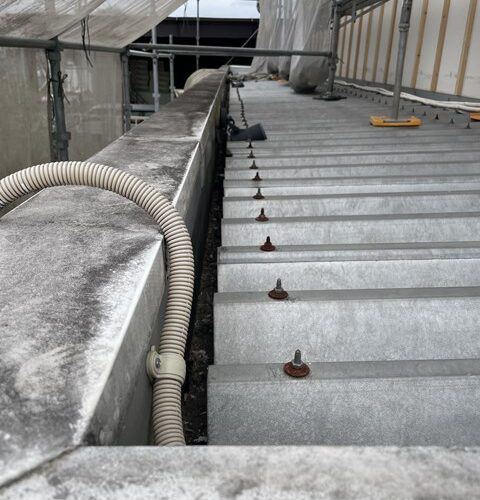 マジでありえん！！