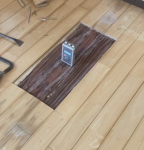 やっぱ専門道具無いとダメねぇー😏