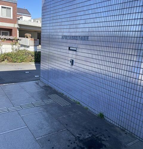 本日の定休日は、、、