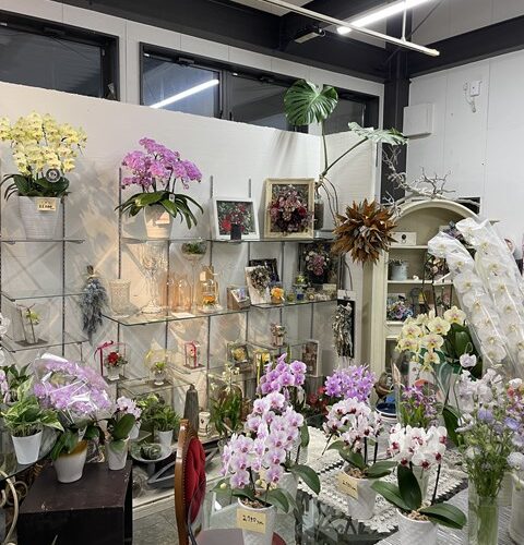 ついに出来た！！