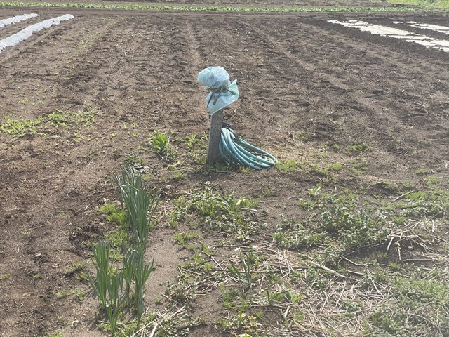 敷地調査です(”◇”)ゞ