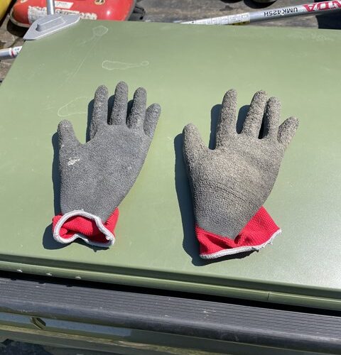 本日の定休日は、、、