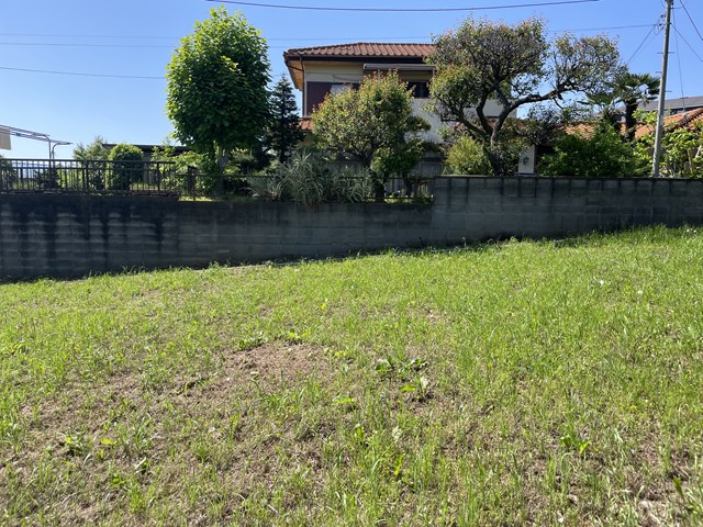 メチャクチャ迫力ありますね！