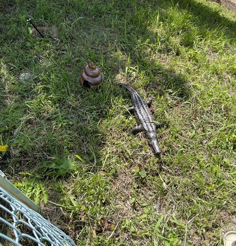 前回来たのはコロナ前だなｗ