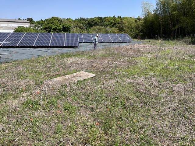 GWにやらねばいけんこと。。。