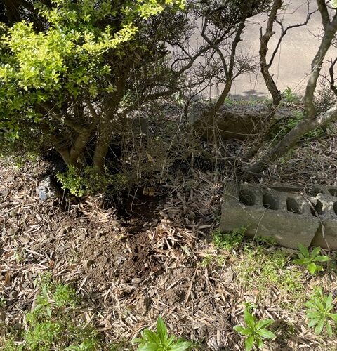 チッキショー！！！