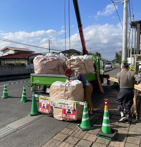 🐄👅🐄👅🐄👅