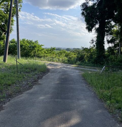 今日は振り返りまーテン！