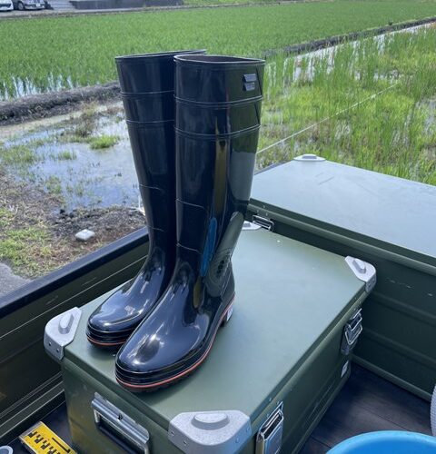 本日の定休日は、、、