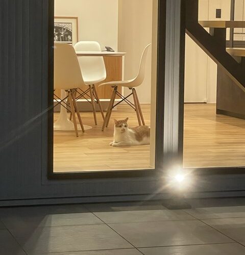 Y様ご協力ありがとうございました🙇🙇🙇