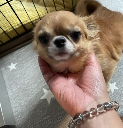 午後から東京ですぅ~🚋