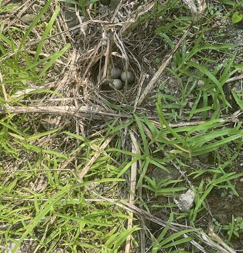 本日の定休日は、、、