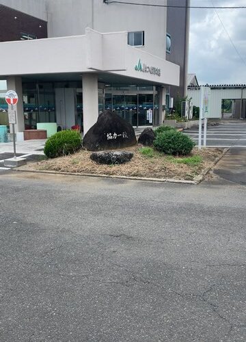 これって成り立つのかしら？！