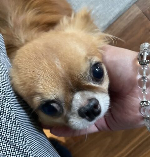 最終日ですねぇ～✨