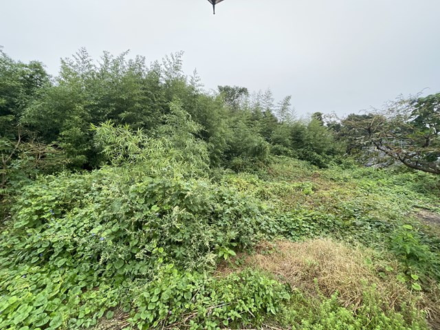 本日の定休日は、、、