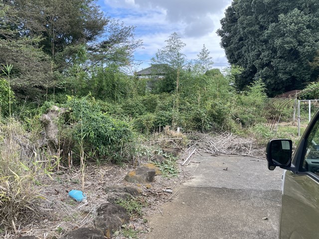 かゆいよ―――😭😭😭