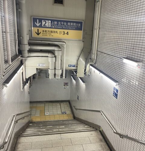 東京でカイギーです、、、