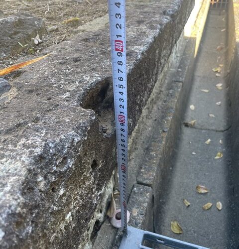 敷地調査ですぅ～