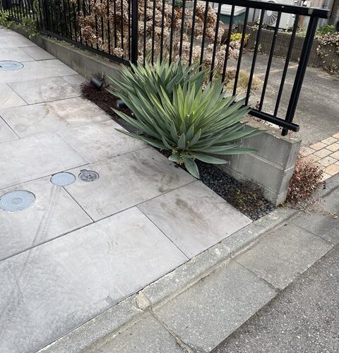 凄く綺麗になってるーーー🤩