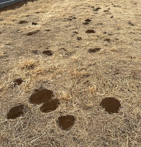 引っ越し大作戦！！