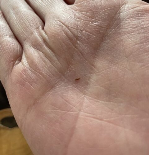 久しぶり―――👋