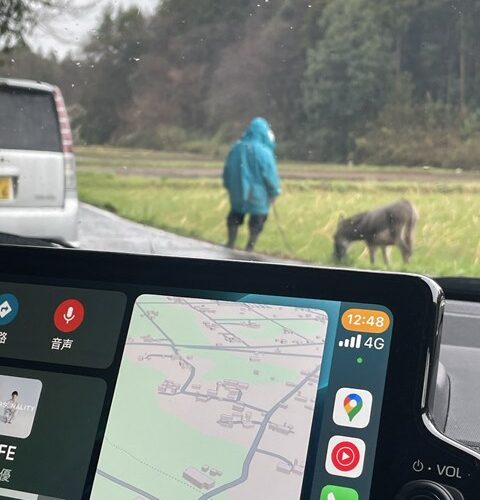 えっ？うそ！！マジ？！