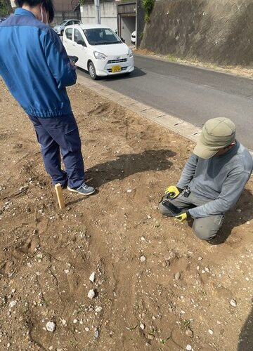 やったーーー！コンプリートだぜ✨