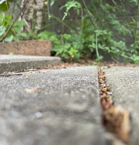 K様おめでとうございます！