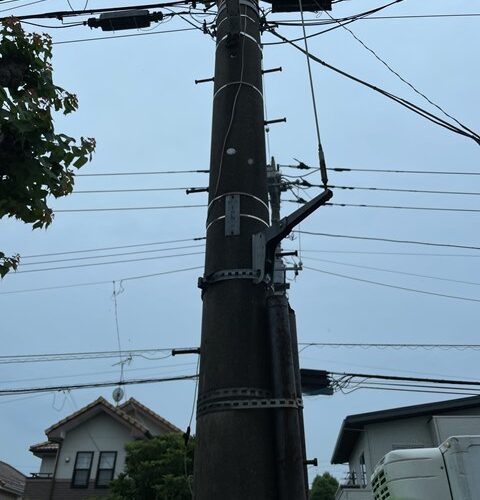 ストレスフリーよ(´ー｀*)ｳﾝｳﾝ