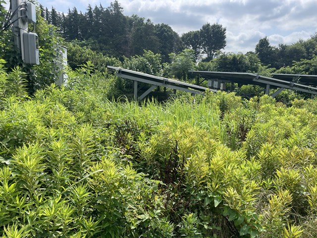 本日の定休日は、、、