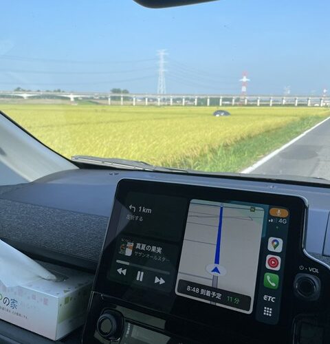 突き刺さってる？