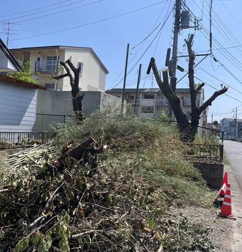 本日の定休日は、、、