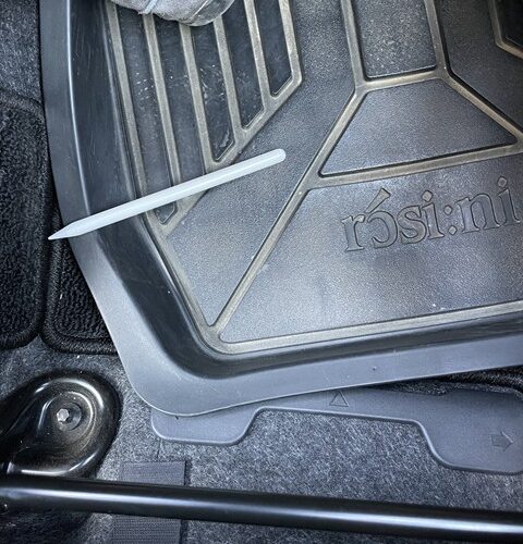 神様のいたずらかしら🙄