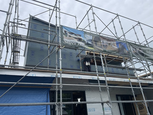 力尽きました💤