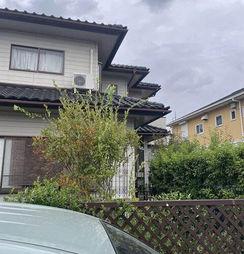 この連鎖はマジでゴイゴイスゥー(⅃ Ⲻ 𐂮Ⲻ)⅃！！！