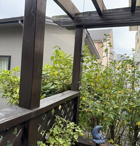 本日の定休日は、、、