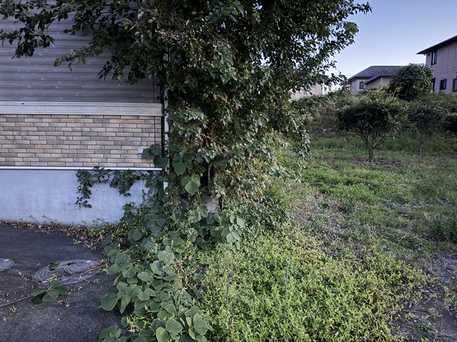 何じゃこりゃーーーーー(￣┏_┓￣；)!!