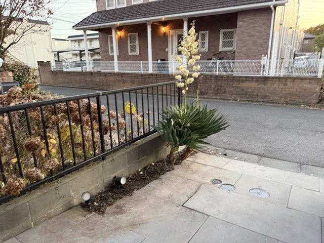 本日の定休日は、、、