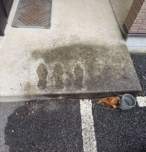 ぜぇーーーーーったい引かない！！！！！