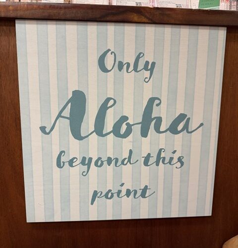 シャッチョーの冬休み6日目！