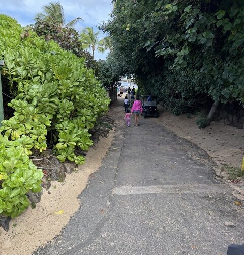 シャッチョーの冬休み7日目！