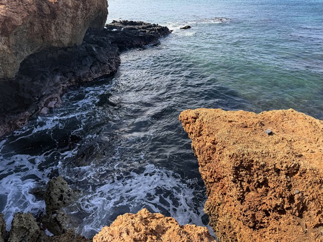 シャッチョーの冬休み8日目！