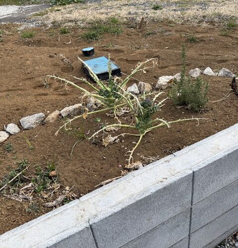 ∑(⊙∀⊙)ﾌｧｯ！